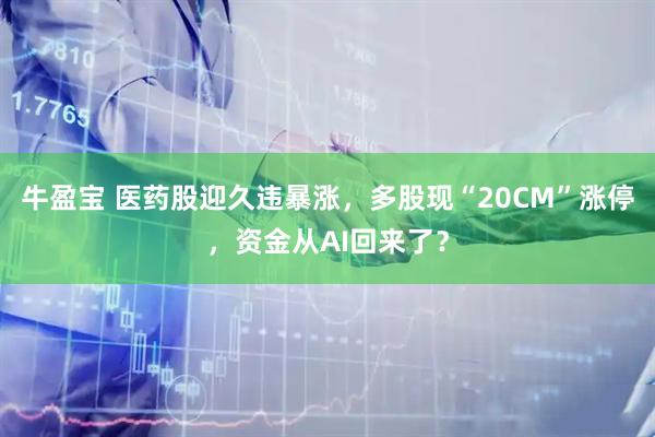 牛盈宝 医药股迎久违暴涨，多股现“20CM”涨停，资金从AI回来了？