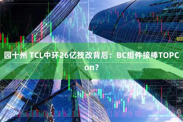 园十州 TCL中环26亿技改背后：BC组件接棒TOPCon？