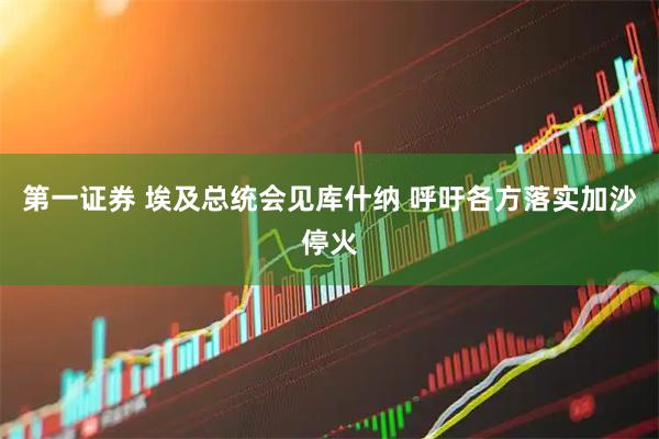 第一证券 埃及总统会见库什纳 呼吁各方落实加沙停火