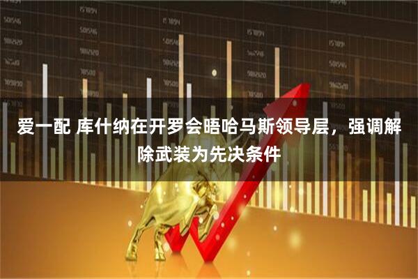 爱一配 库什纳在开罗会晤哈马斯领导层，强调解除武装为先决条件